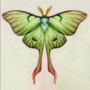 Meet your Posher, Cassidy